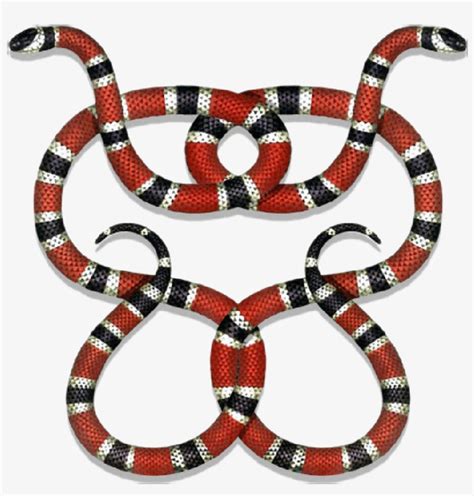 gucci snake vs coral snake